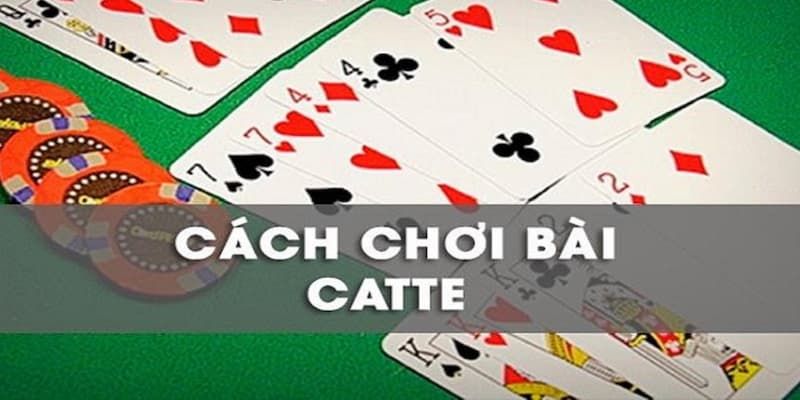 Khám phá 6 vòng chơi cụ thể trong bài Catte